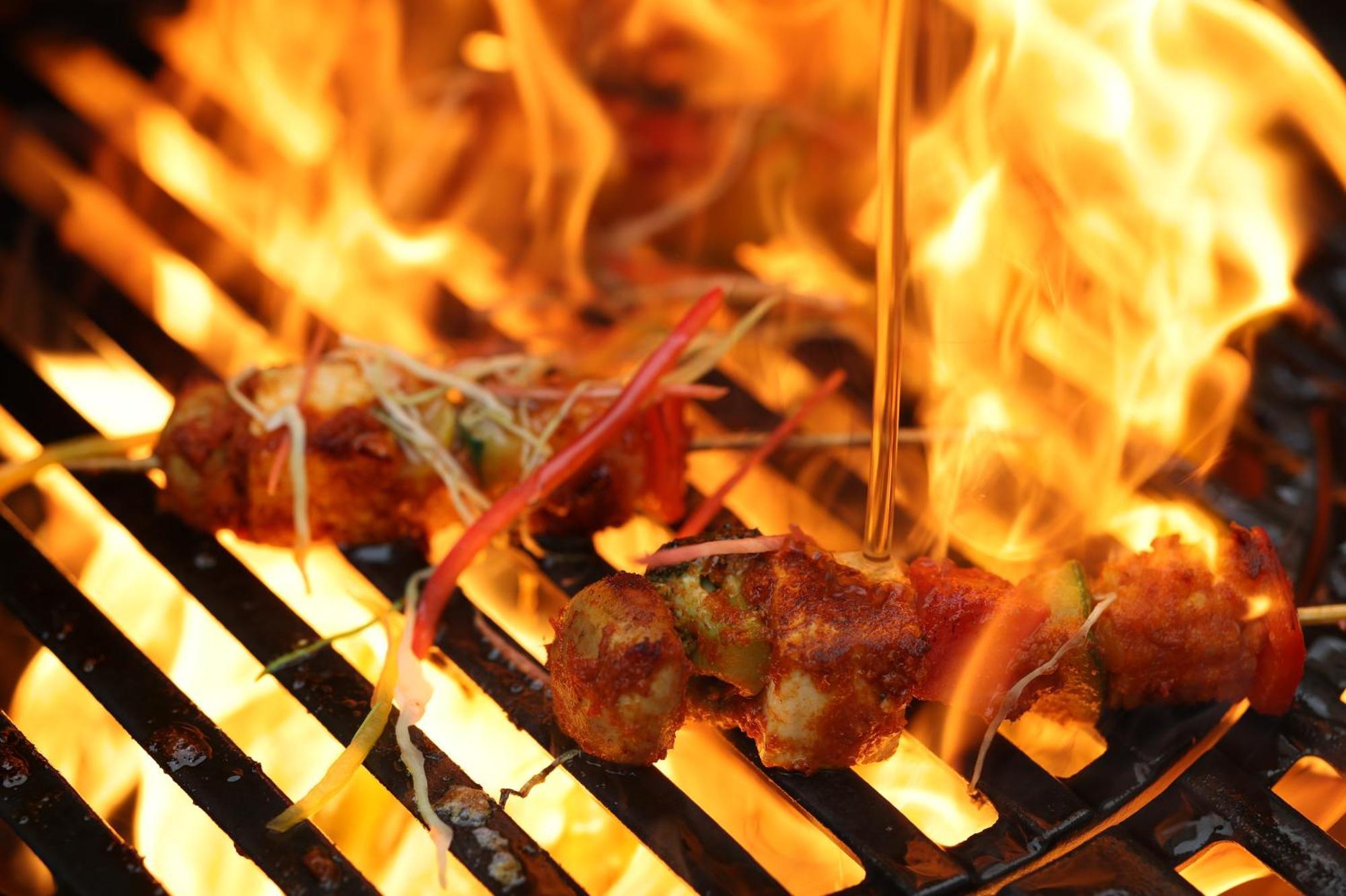 Holiday Inn Agra Mg Road An Ihg Hotel Exterior photo Barbecue